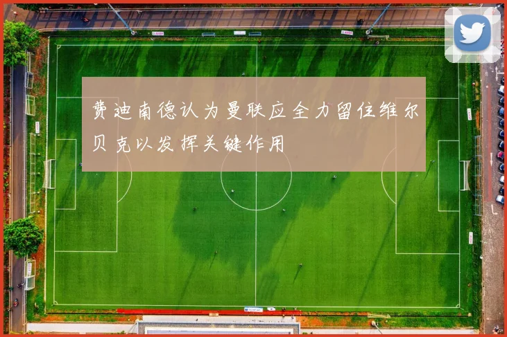 费迪南德认为曼联应全力留住维尔贝克以发挥关键作用