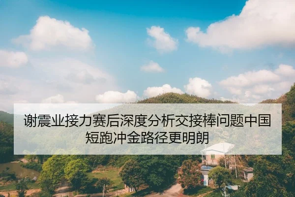 谢震业接力赛后深度分析交接棒问题中国短跑冲金路径更明朗
